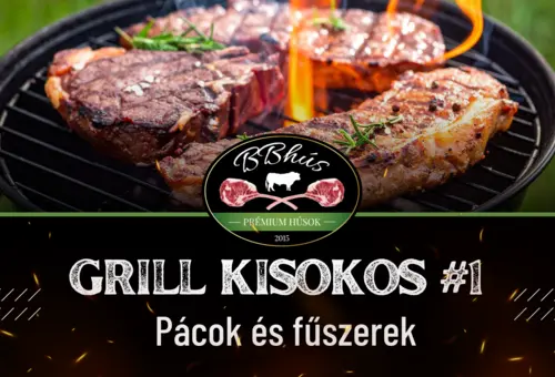 Grill Kisokos #1 - A tökéletes ízesítés titkai